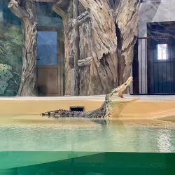 Kharkiv Zoo - Kharkiv