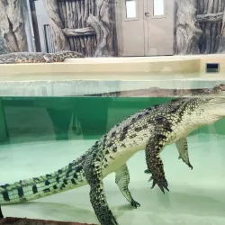 Kharkiv Zoo - Kharkiv