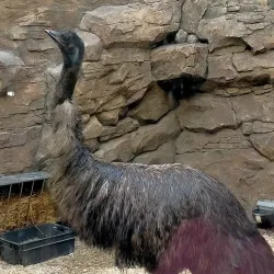 Kharkiv Zoo - Kharkiv