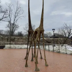 Kharkiv Zoo - Kharkiv