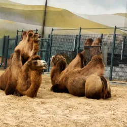 Kharkiv Zoo - Kharkiv