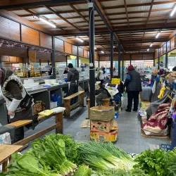 Central Market - Kherson