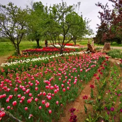 Kherson Botanical Garden - Kherson