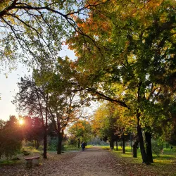 Kherson Botanical Garden - Kherson