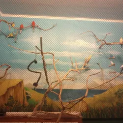 Kherson Puppet Theater - Kherson