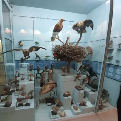 Kherson Regional Museum - Kherson