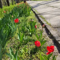 Victory Park - Kherson