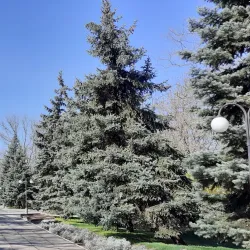 Victory Park - Kherson