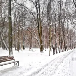 Khmelnytskyi City Park - Khmelnytskyi