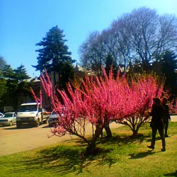 Victory Square - Khmelnytskyi