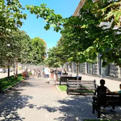 Khreshchatyk Street - Kiev (Kyiv)