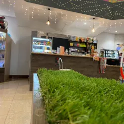 City Center Square - Konotop