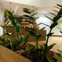 City Center Square - Konotop