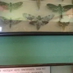 Konotop Local History Museum - Konotop