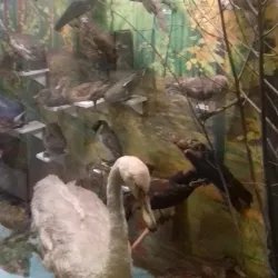 Konotop Local History Museum - Konotop