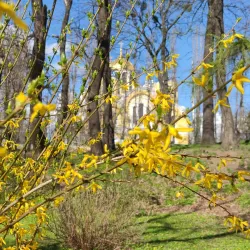 Korman Botanical Garden - Korman