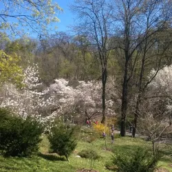 Korman Botanical Garden - Korman