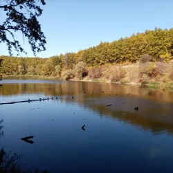 Korman City Park - Korman