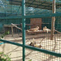 Korman City Park - Korman