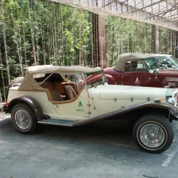 Korman City Park - Korman