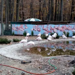 Korman City Park - Korman