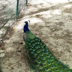 Korman City Park - Korman