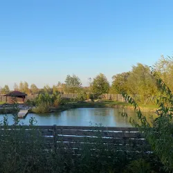 Kovel Synagogue - Kovel'