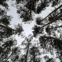 Botanical Gardens near Kozyn - Kozyn