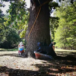 Botanical Gardens near Kozyn - Kozyn
