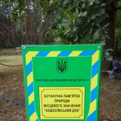 Botanical Gardens near Kozyn - Kozyn