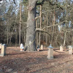 Botanical Gardens near Kozyn - Kozyn