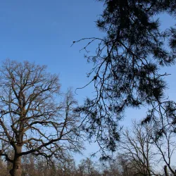 Botanical Gardens near Kozyn - Kozyn