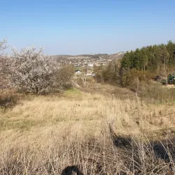 Botanical Gardens near Kozyn - Kozyn