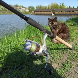 Kozyn Fishing Spots - Kozyn