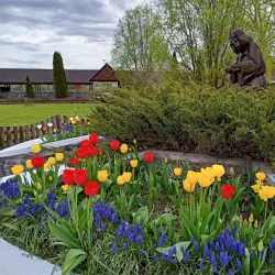 Kozyn Fishing Spots - Kozyn