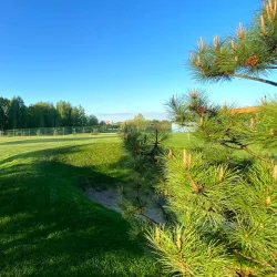 Kozyn Marina - Kozyn