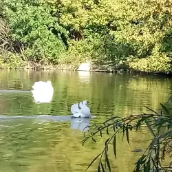 Central Park of Culture and Leisure - Kramatorsk