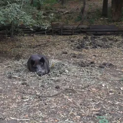 Central Park of Culture and Leisure - Kramatorsk