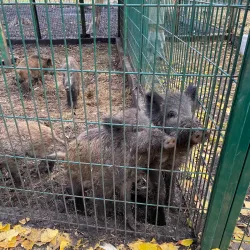 Central Park of Culture and Leisure - Kramatorsk