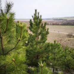 Central Park of Culture and Leisure - Kramatorsk