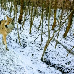 Central Park of Culture and Leisure - Kramatorsk
