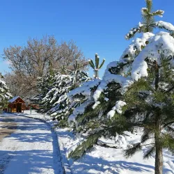 Central Park of Culture and Leisure - Kramatorsk