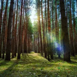 Donetsk Regional Nature Reserve (nearby) - Krasnogorivka