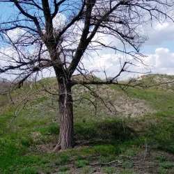 Krasnogorivka Central Park - Krasnogorivka