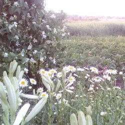 Krasnogorivka Central Park - Krasnogorivka