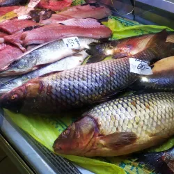 Kremenchuk Central Market - Kremenchuk