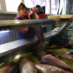 Kremenchuk Central Market - Kremenchuk