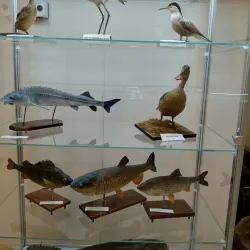 Kremenchuk Museum of Local Lore - Kremenchuk