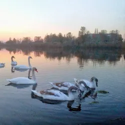 Victory Park - Kremenchuk