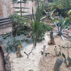 Botanical Garden of Kryvyi Rih State Pedagogical University - Kryvyy Rih